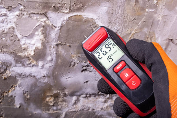Home Mold Removal in Springdale, SC